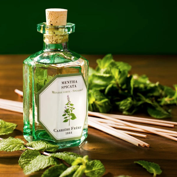 Carriere Freres Spearmint Diffuser