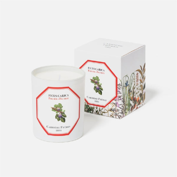 Carriere Freres Fig Tree Candle
