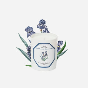 Carriere Freres Iris Candle