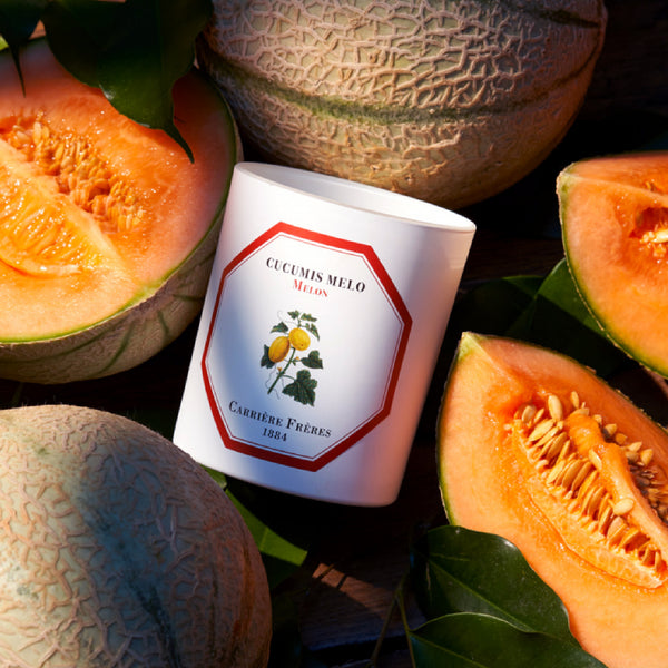 Carriere Freres MELON Candle