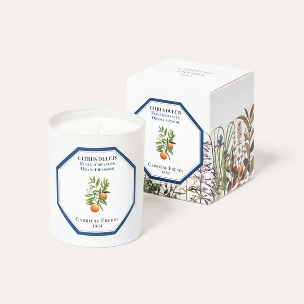 Orange Blossom Candle 橙花香薰蠟燭 Carriere Freres