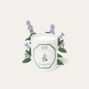 Spearmint Candle 綠薄荷香薰蠟燭 Carriere Freres