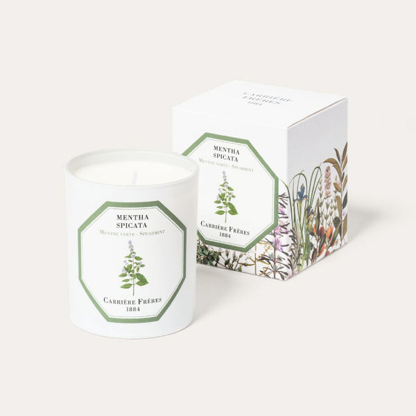 Spearmint Candle 綠薄荷香薰蠟燭 Carriere Freres