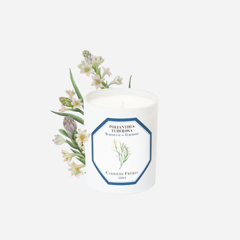 Carriere Freres Tuberose Candle